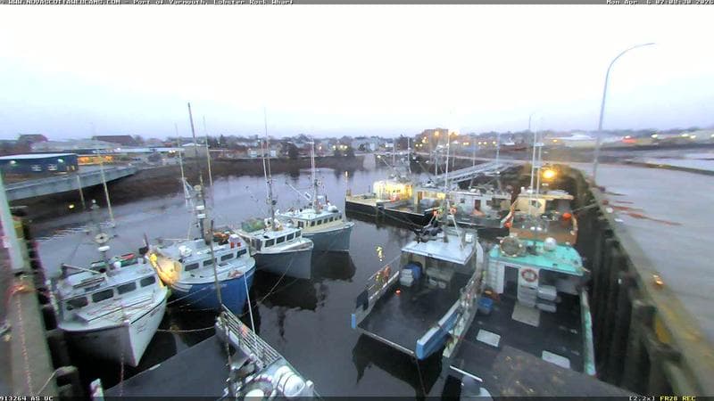 Lobster Rock Wharf East
