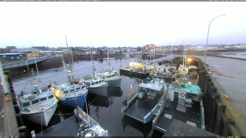 Lobster Rock Wharf East