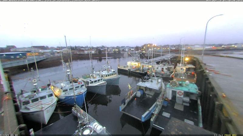 Lobster Rock Wharf East