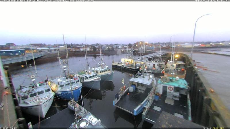 Lobster Rock Wharf East