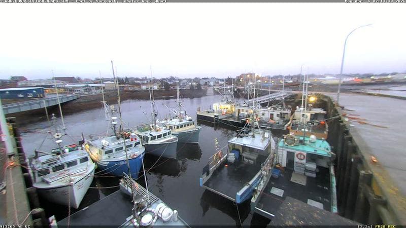 Lobster Rock Wharf East