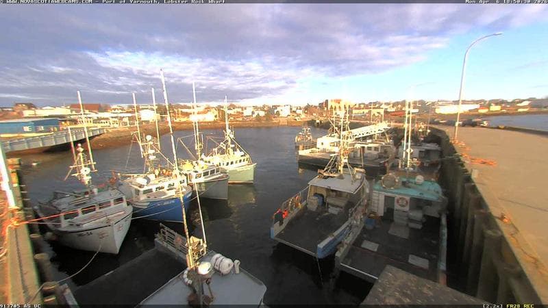 Lobster Rock Wharf East