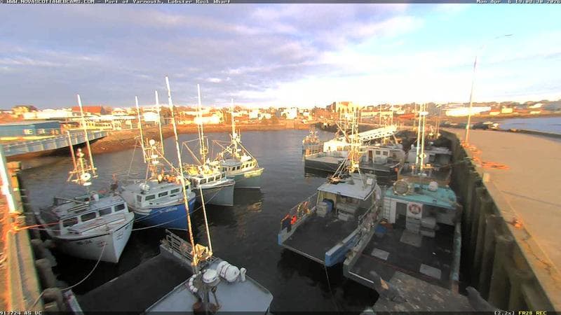 Lobster Rock Wharf East