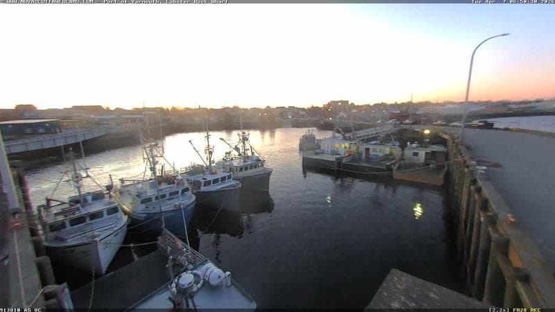Lobster Rock Wharf East