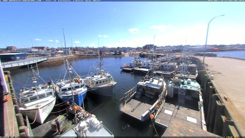 Lobster Rock Wharf East