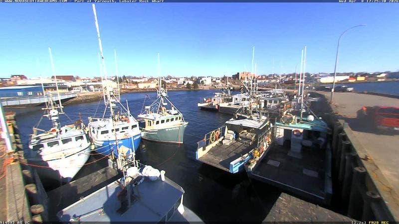 Lobster Rock Wharf East