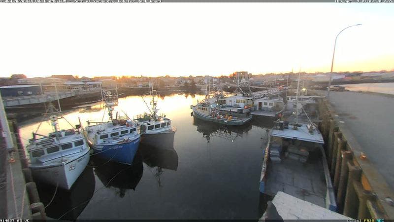 Lobster Rock Wharf East
