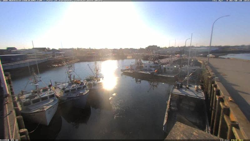Lobster Rock Wharf East