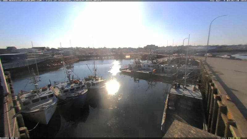 Lobster Rock Wharf East
