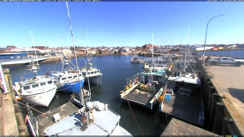 Lobster Rock Wharf East