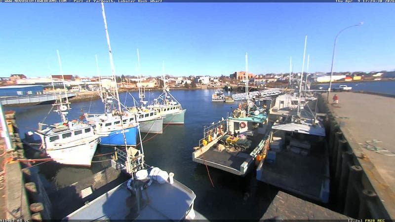 Lobster Rock Wharf East