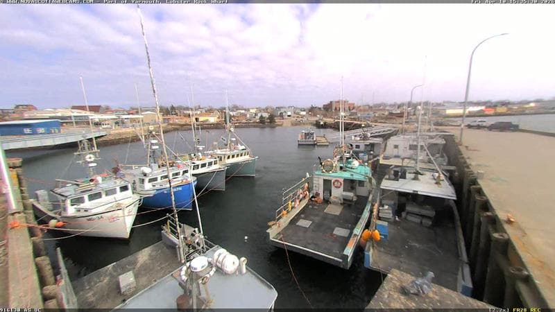 Lobster Rock Wharf East