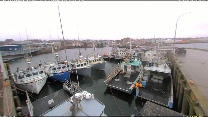 Lobster Rock Wharf East
