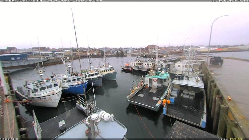 Lobster Rock Wharf East
