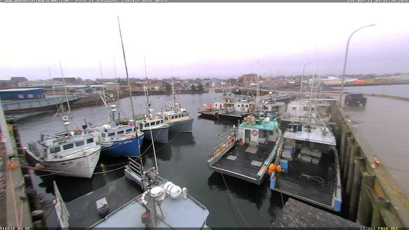Lobster Rock Wharf East