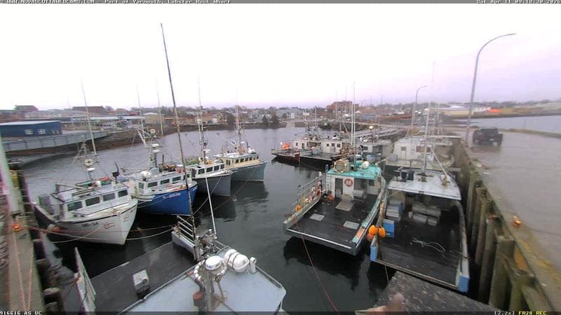 Lobster Rock Wharf East