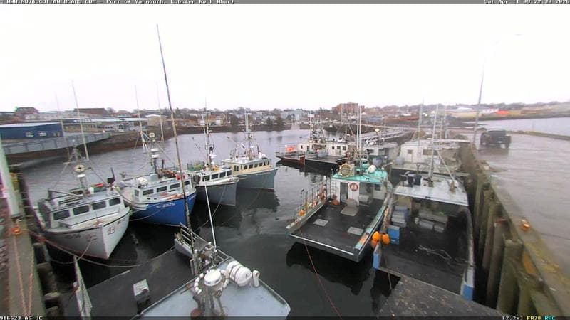 Lobster Rock Wharf East