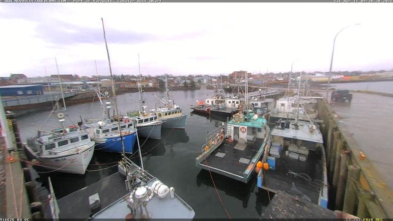 Lobster Rock Wharf East