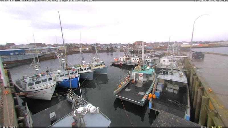 Lobster Rock Wharf East