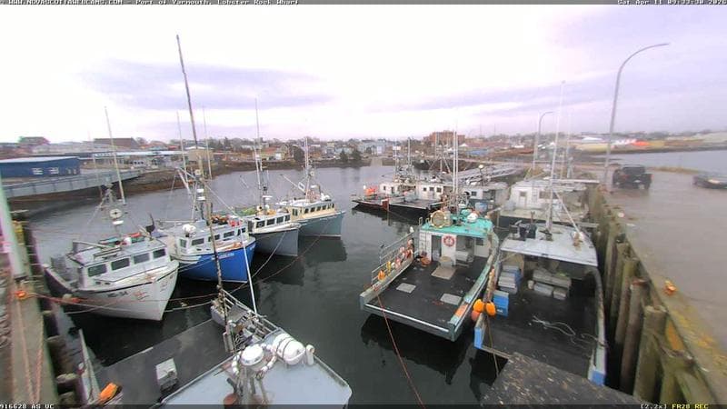 Lobster Rock Wharf East