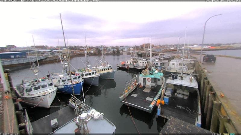 Lobster Rock Wharf East