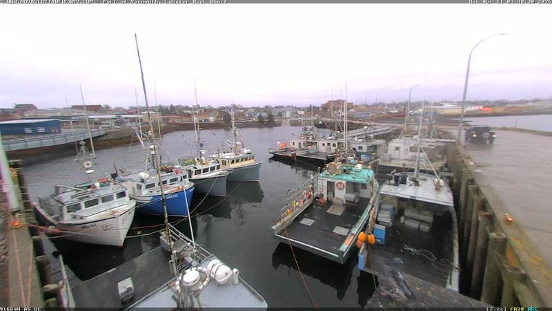 Lobster Rock Wharf East