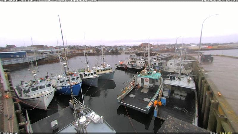 Lobster Rock Wharf East