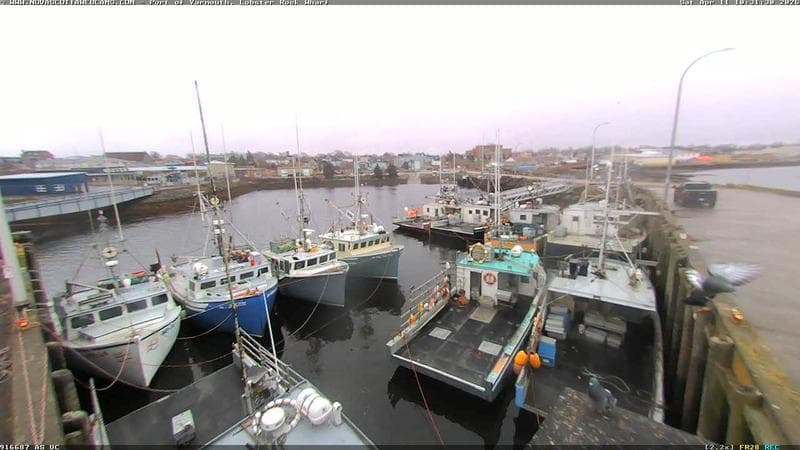 Lobster Rock Wharf East