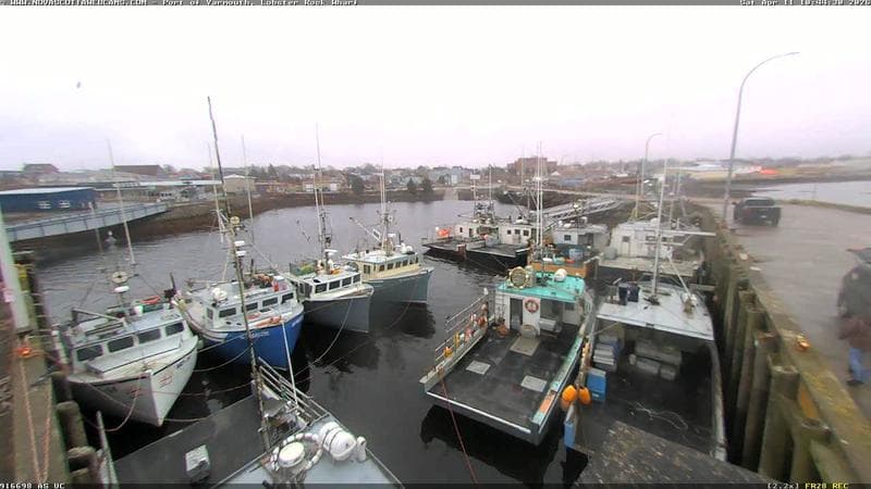 Lobster Rock Wharf East