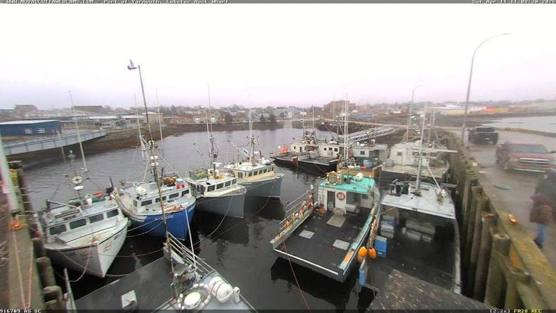 Lobster Rock Wharf East