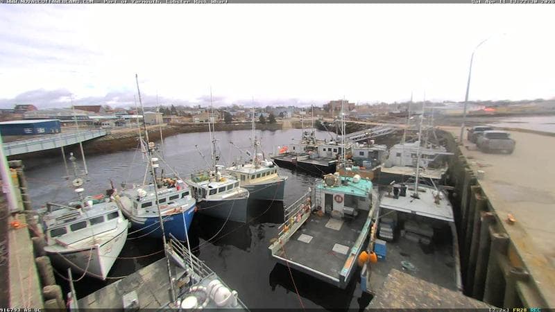 Lobster Rock Wharf East