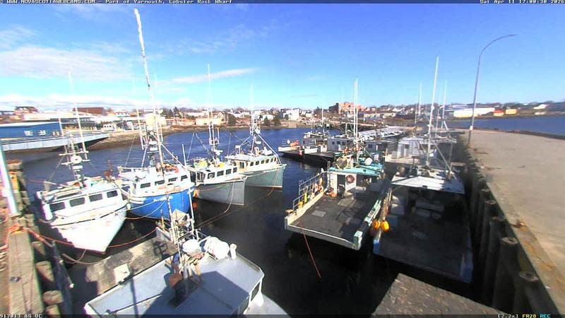 Lobster Rock Wharf East