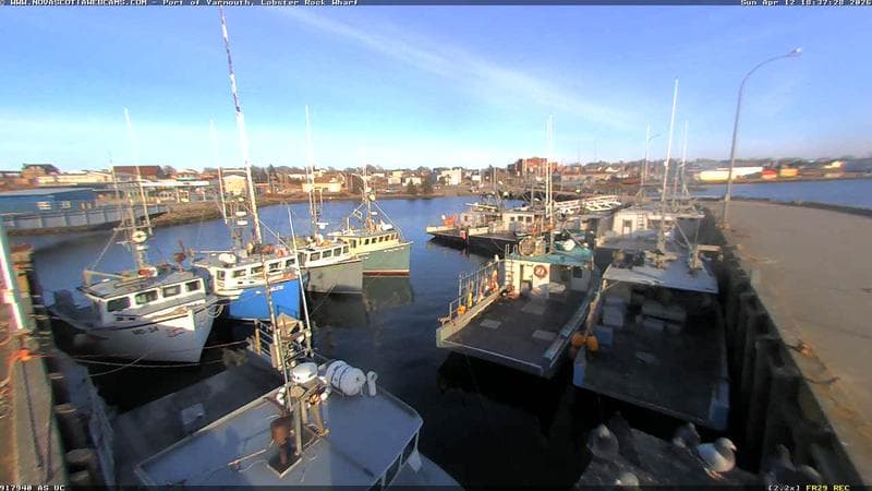 Lobster Rock Wharf East