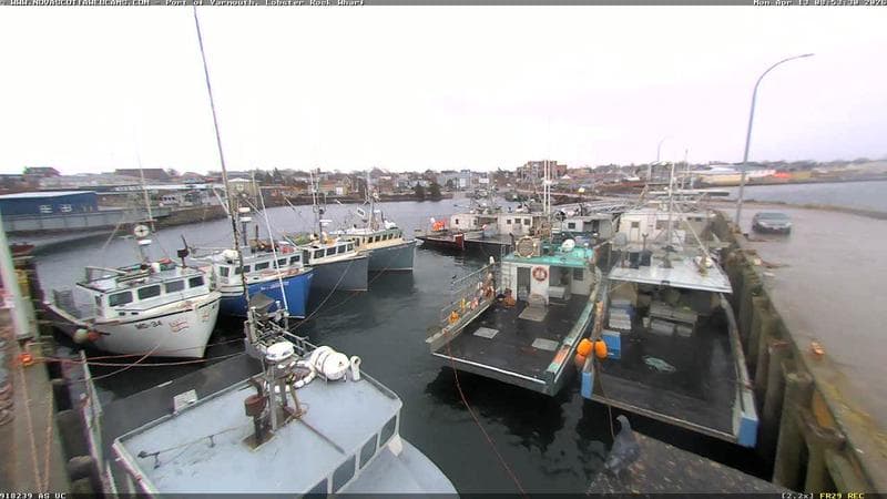 Lobster Rock Wharf East