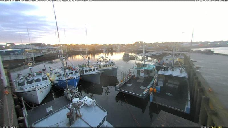 Lobster Rock Wharf East