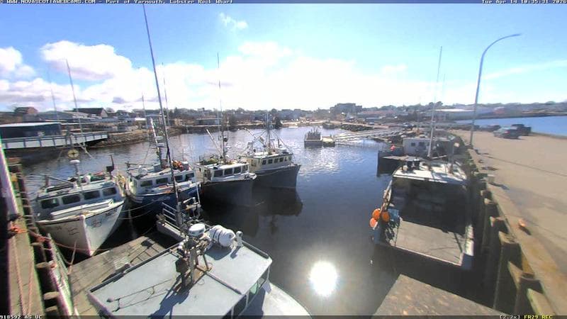 Lobster Rock Wharf East
