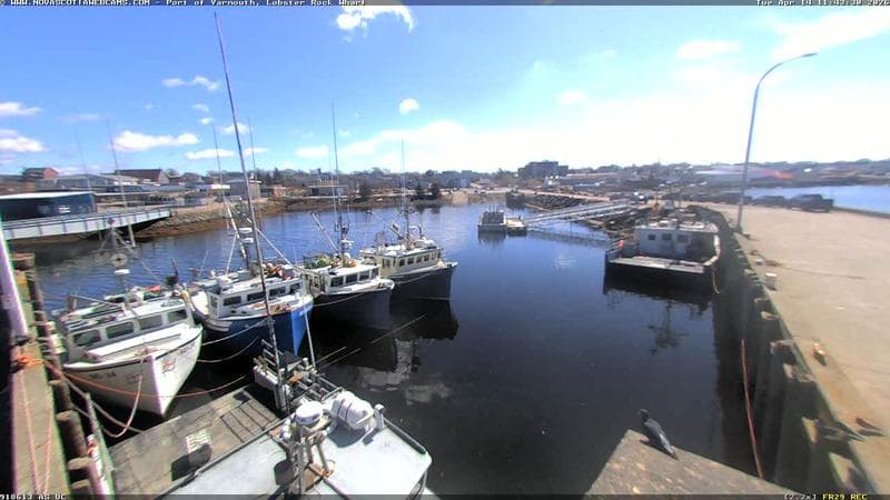 Lobster Rock Wharf East