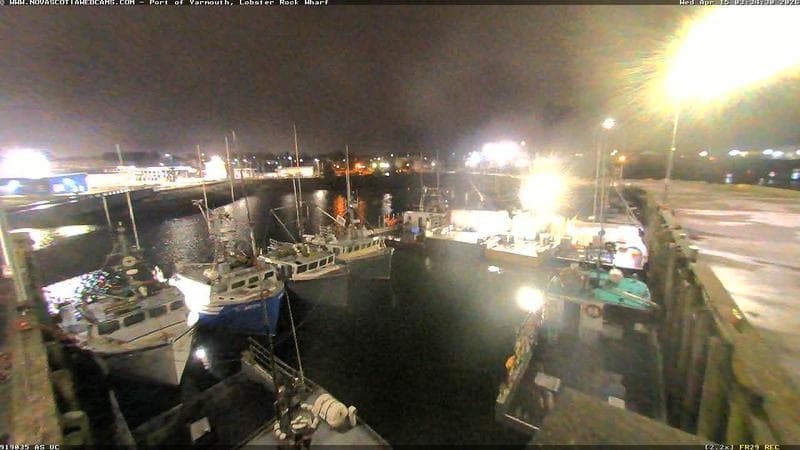 Lobster Rock Wharf East