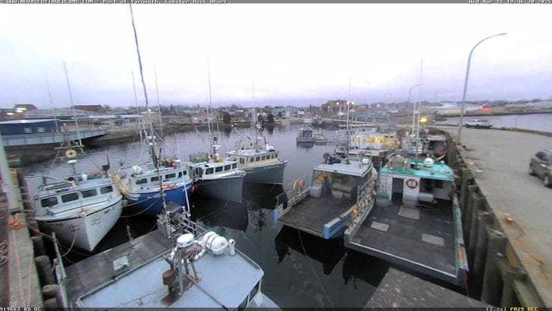 Lobster Rock Wharf East