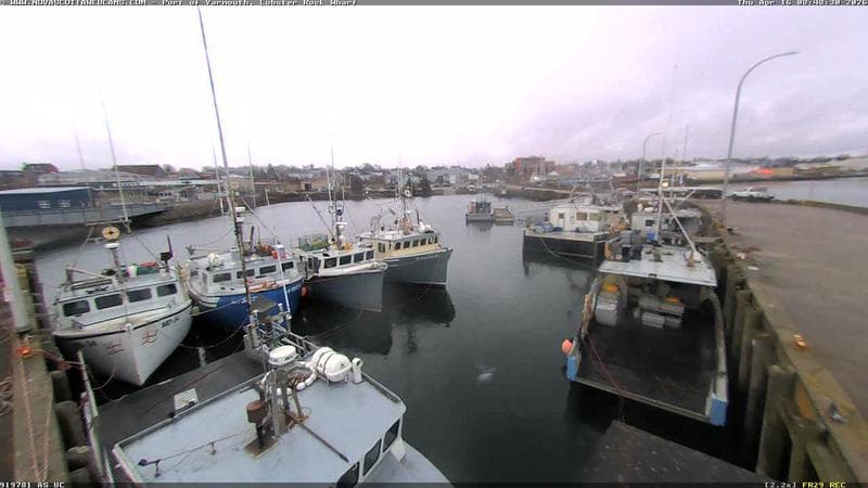 Lobster Rock Wharf East