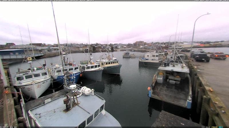 Lobster Rock Wharf East