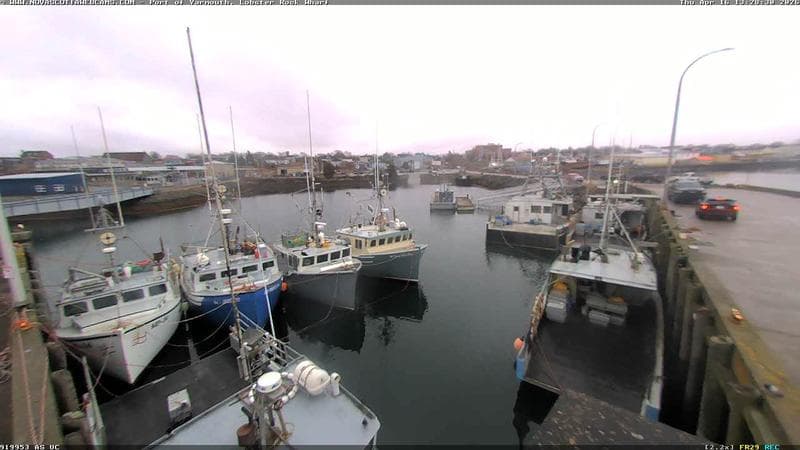 Lobster Rock Wharf East