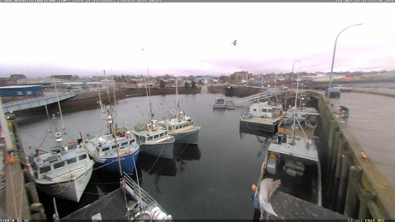 Lobster Rock Wharf East
