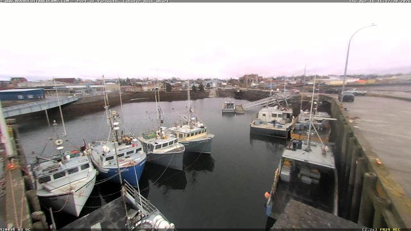 Lobster Rock Wharf East