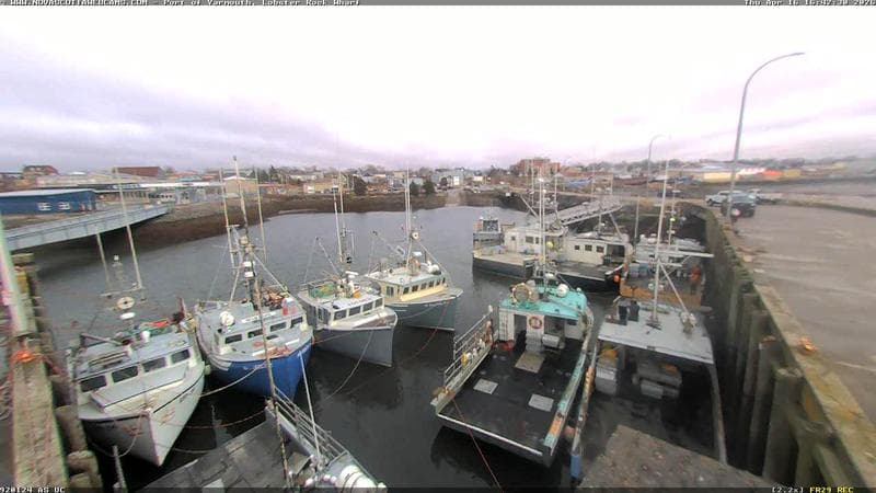Lobster Rock Wharf East
