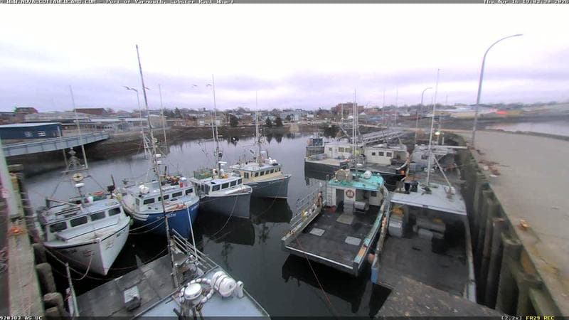 Lobster Rock Wharf East