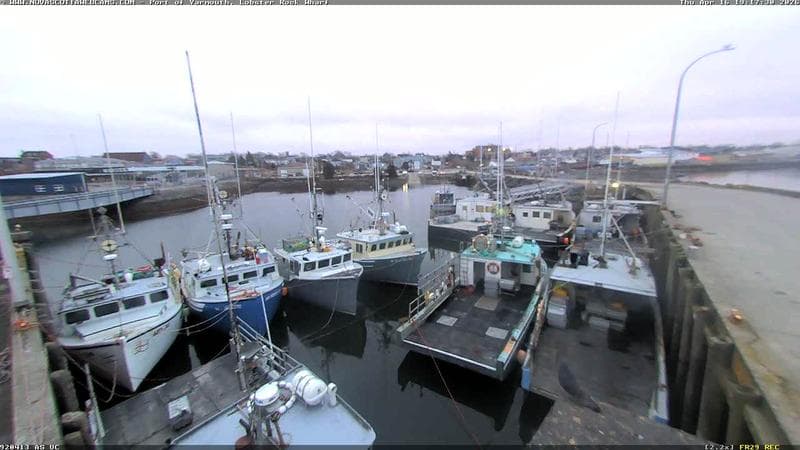 Lobster Rock Wharf East