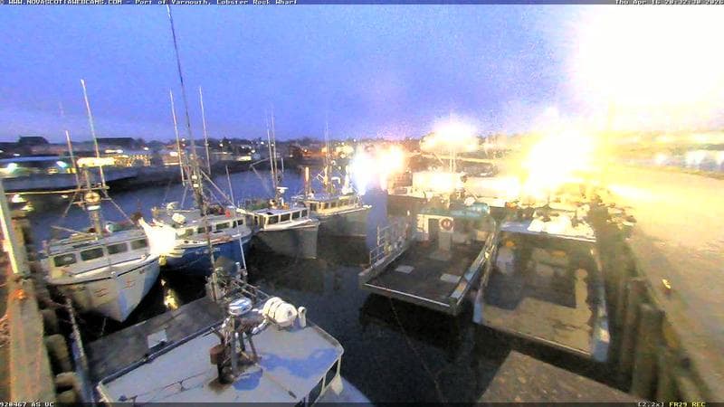 Lobster Rock Wharf East