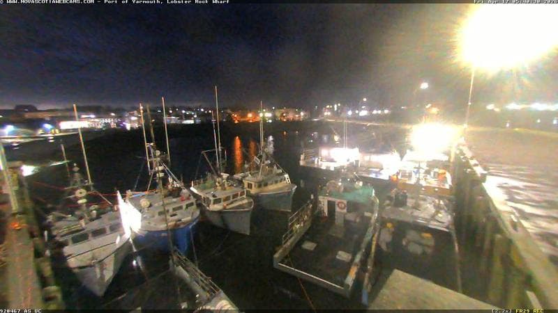 Lobster Rock Wharf East