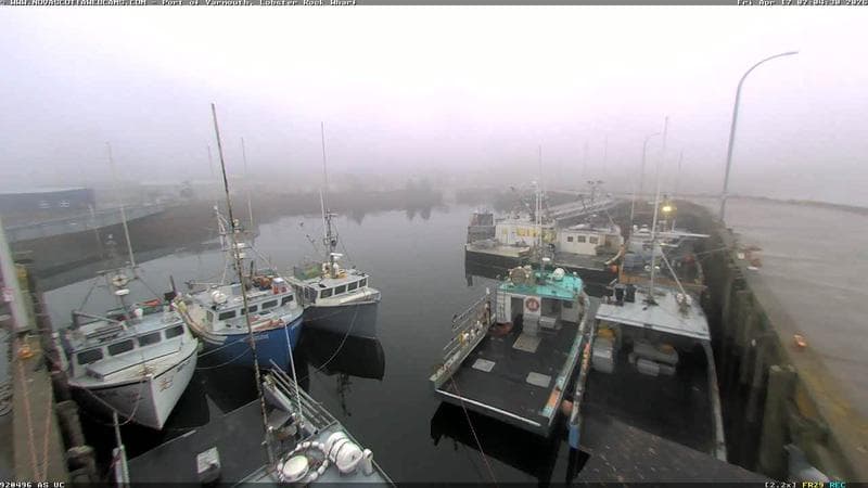 Lobster Rock Wharf East